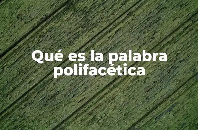 Qué es la Palabra Polifacética