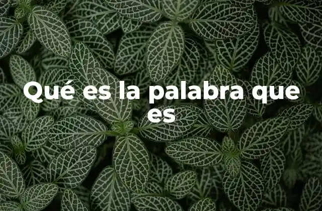 Qué es la Palabra que es