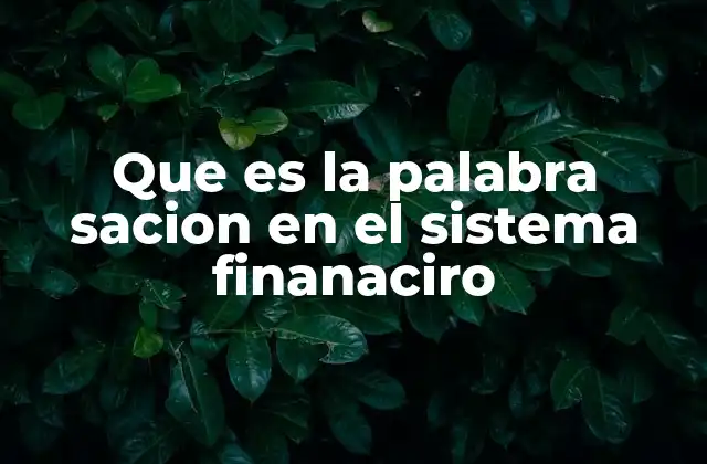 Que es la Palabra Sacion en el Sistema Finanaciro