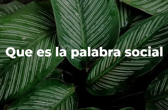 Que es la Palabra Social