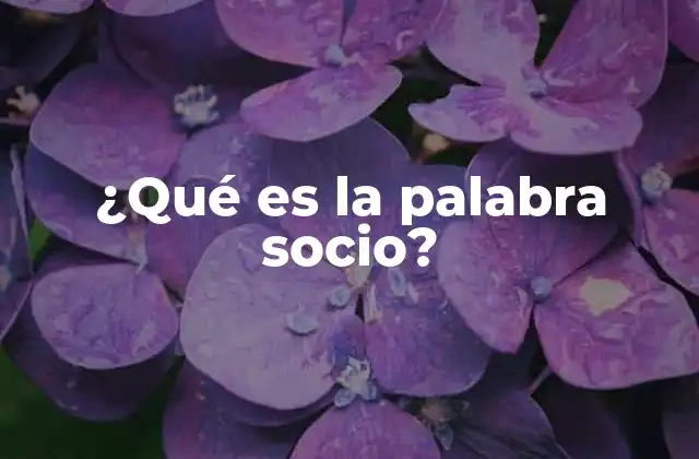 La importancia de los socios en el desarrollo empresarial