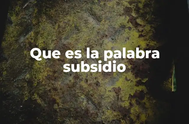 Que es la Palabra Subsidio