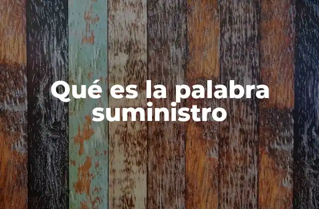 Qué es la Palabra Suministro