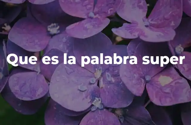 Que es la Palabra Super
