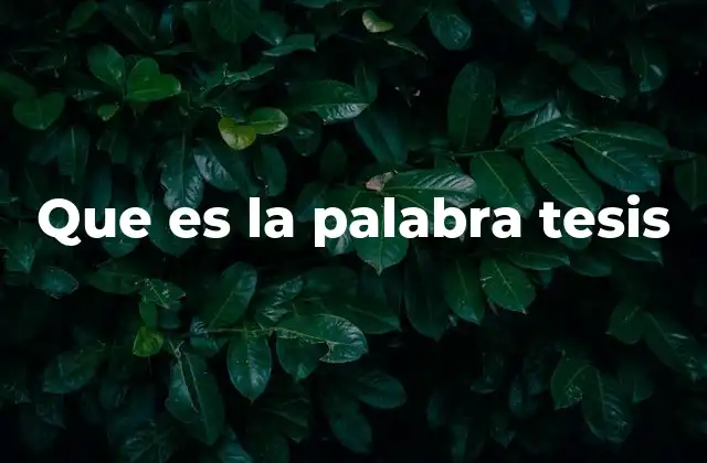Que es la Palabra Tesis