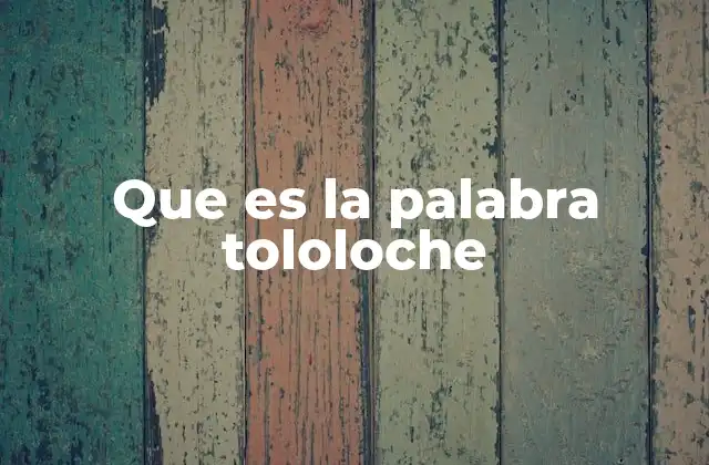 Que es la Palabra Tololoche 2 El uso de tololoche en el lenguaje coloquial