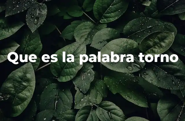 Que es la Palabra Torno