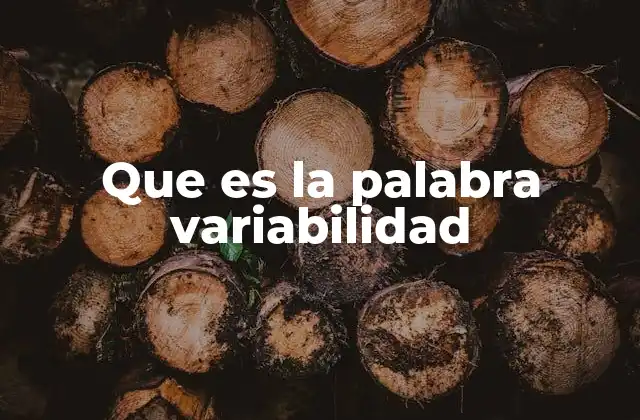 Que es la Palabra Variabilidad