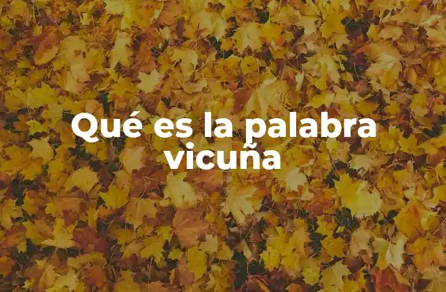 Qué es la Palabra Vicuña