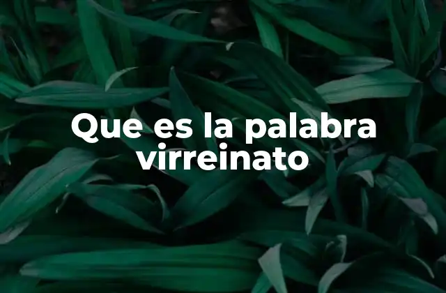 Que es la Palabra Virreinato