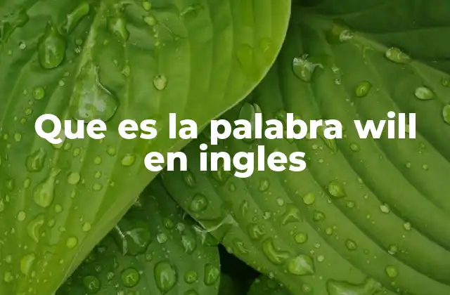 Que es la Palabra Will en Ingles