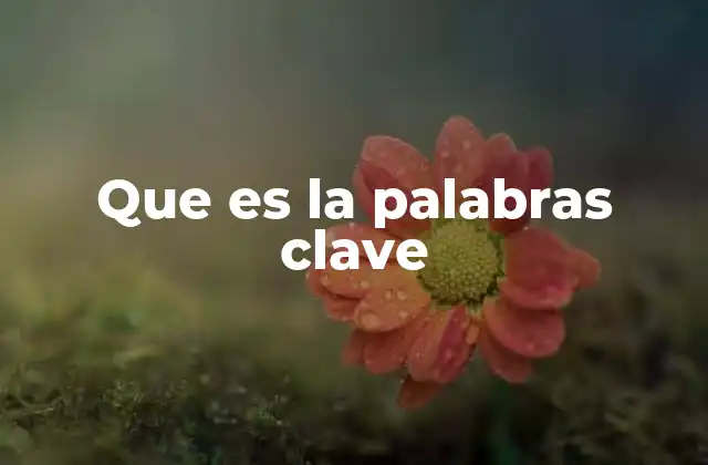 Que es la Palabras Clave