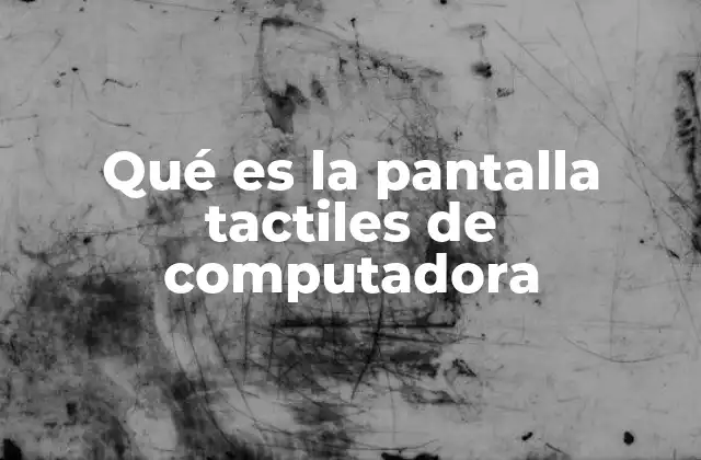 Qué es la Pantalla Tactiles de Computadora