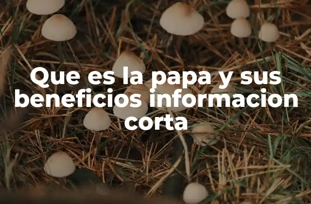Que es la Papa y Sus Beneficios Informacion Corta