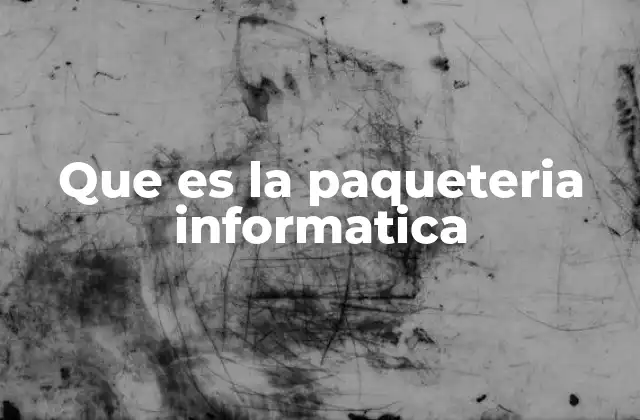 Que es la Paqueteria Informatica