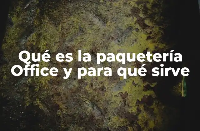 Qué es la Paquetería Office y para Qué Sirve