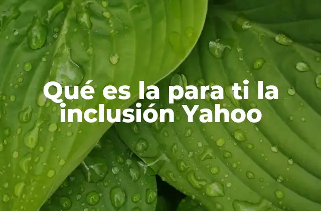 Qué es la para Ti la Inclusión Yahoo