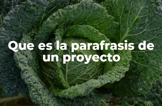 Que es la Parafrasis de un Proyecto