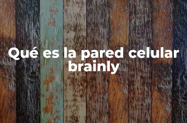 Qué es la Pared Celular Brainly