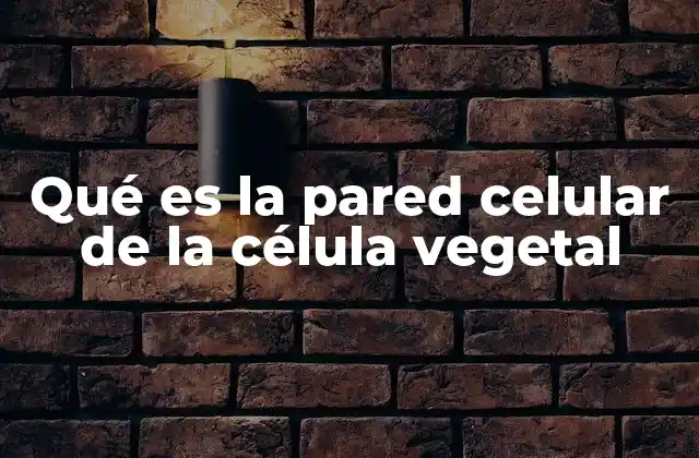 Qué es la Pared Celular de la Célula Vegetal
