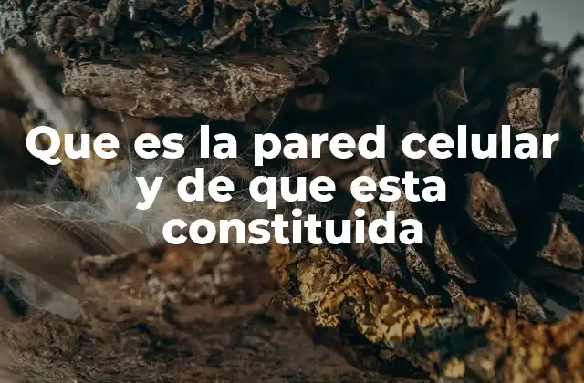 Que es la Pared Celular y de que Esta Constituida