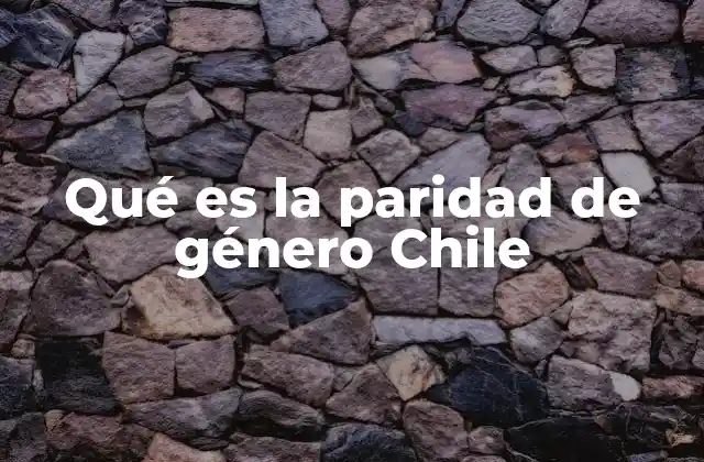 Qué es la Paridad de Género Chile