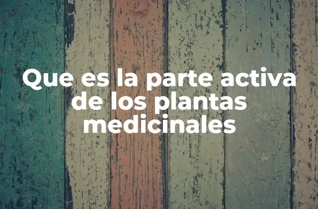 Que es la Parte Activa de los Plantas Medicinales 2 La importancia de identificar correctamente la parte activa