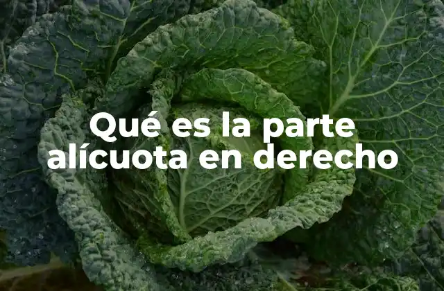 Qué es la Parte Alícuota en Derecho