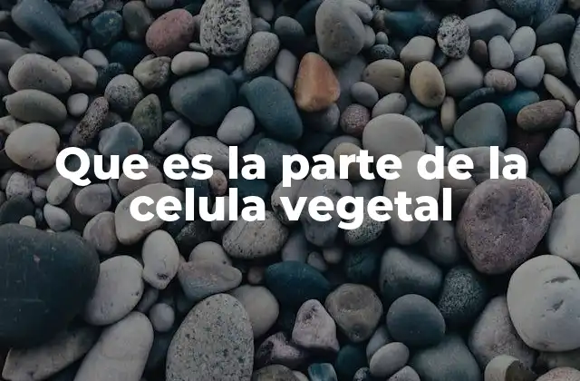 Que es la Parte de la Celula Vegetal