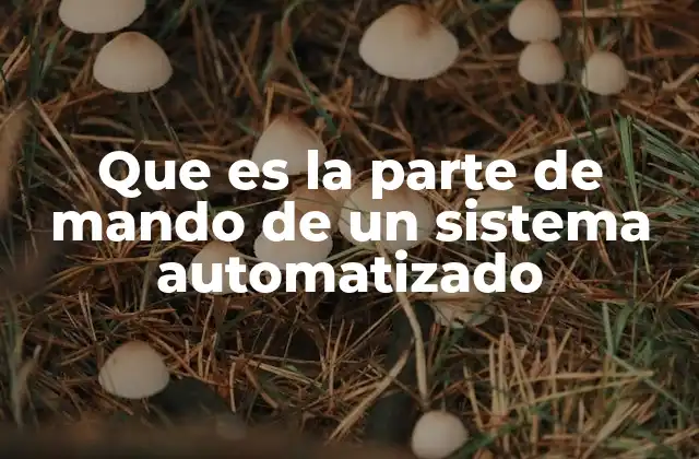 Que es la Parte de Mando de un Sistema Automatizado