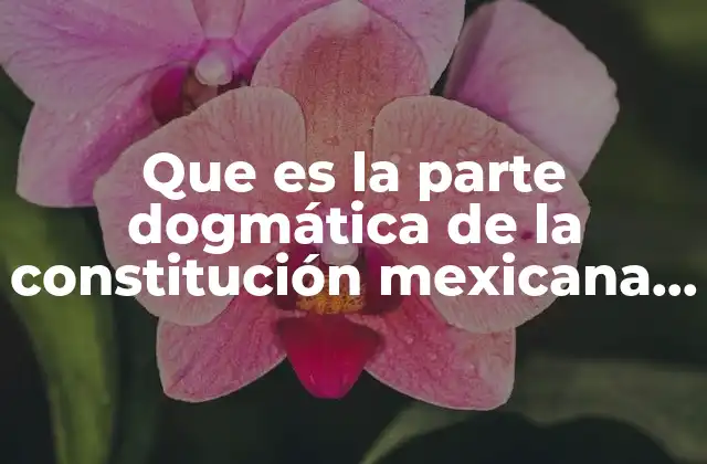 Que es la Parte Dogmática de la Constitución Mexicana Explicación