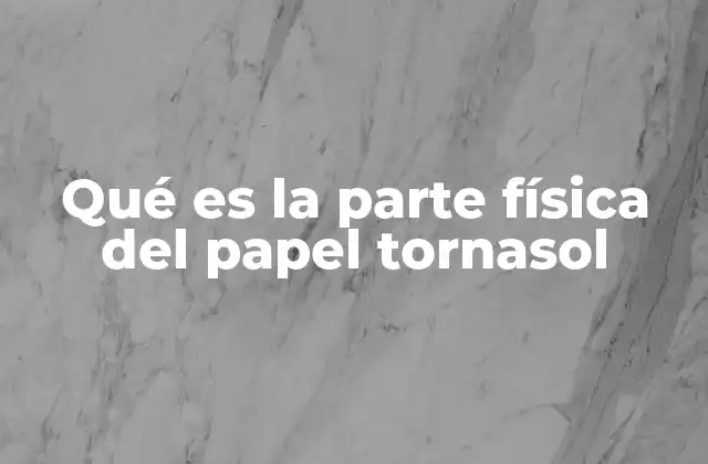 Qué es la Parte Física Del Papel Tornasol