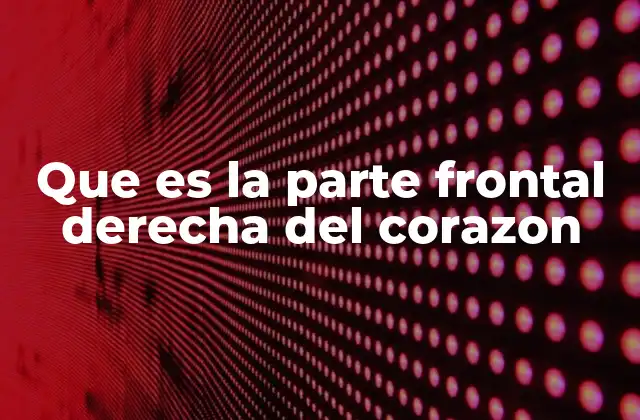 Que es la Parte Frontal Derecha Del Corazon