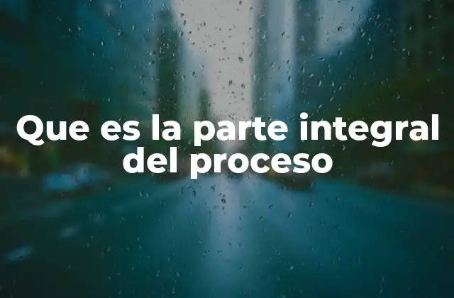 Que es la Parte Integral Del Proceso