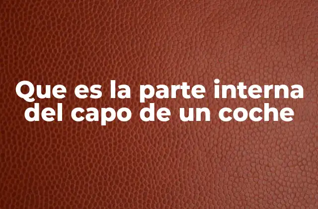 Que es la Parte Interna Del Capo de un Coche