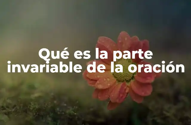 La importancia de las palabras invariables en la gramática