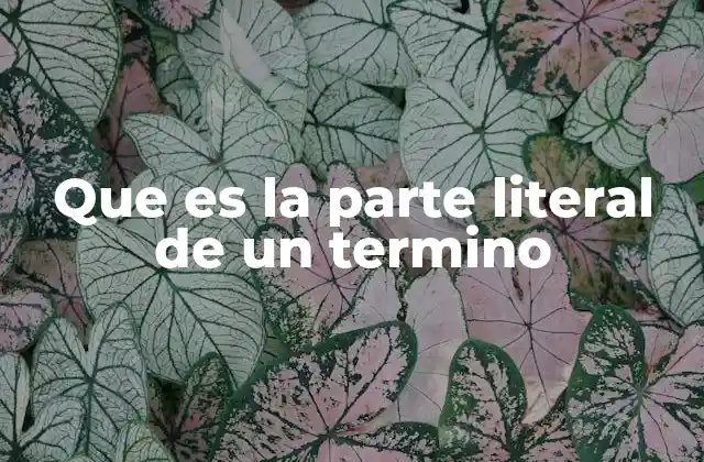 Que es la Parte Literal de un Termino