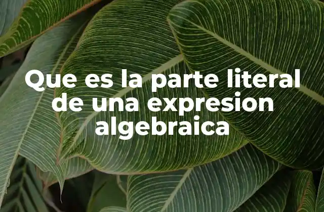 Que es la Parte Literal de una Expresion Algebraica
