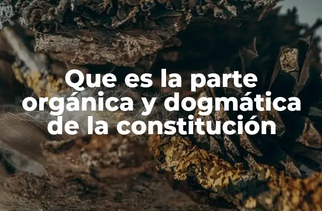 Que es la Parte Orgánica y Dogmática de la Constitución