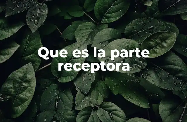 Que es la Parte Receptora