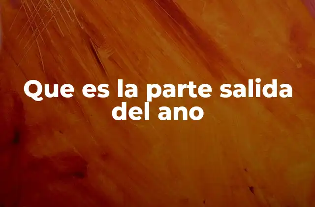 La importancia del ano en la salud digestiva