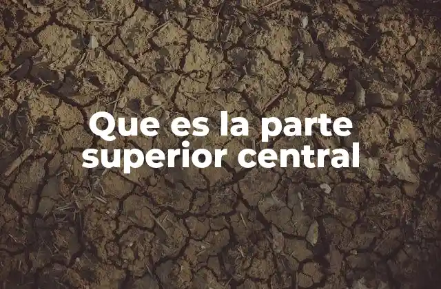 Que es la Parte Superior Central