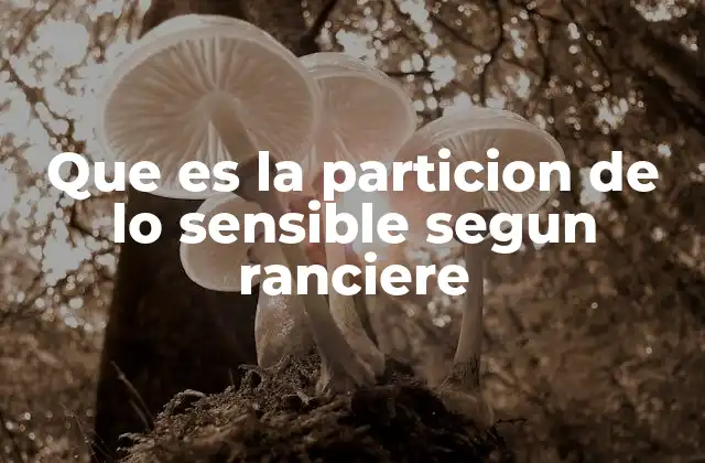Que es la Particion de Lo Sensible Segun Ranciere