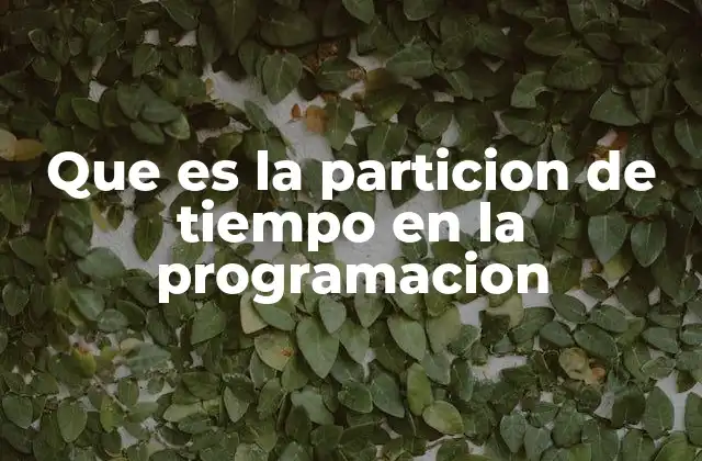 Que es la Particion de Tiempo en la Programacion