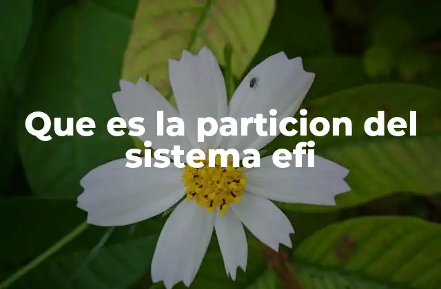 Que es la Particion Del Sistema Efi