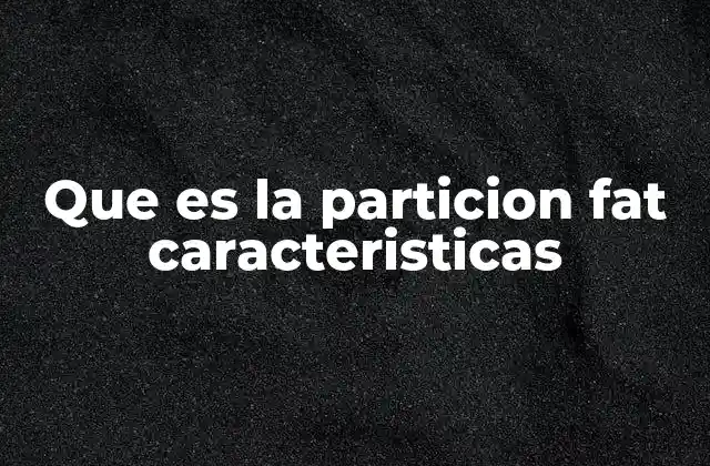 Que es la Particion Fat Caracteristicas