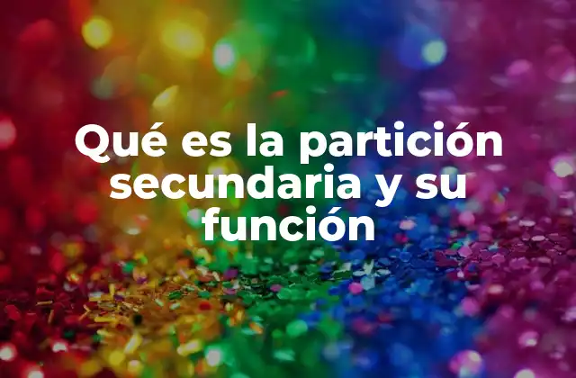Cómo se diferencia una partición secundaria de una primaria