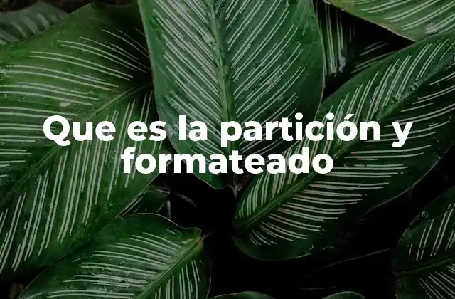 Que es la Partición y Formateado