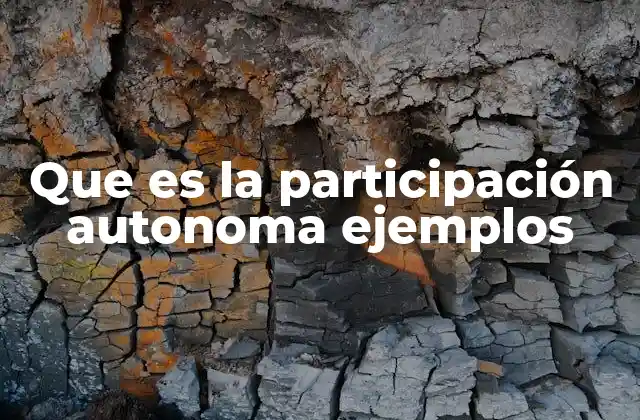 Que es la Participación Autonoma Ejemplos