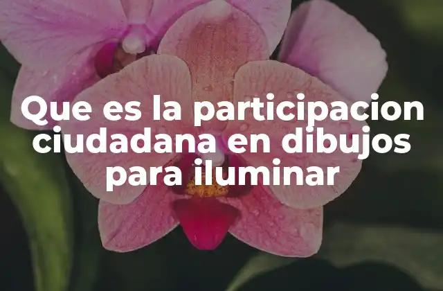 Que es la Participacion Ciudadana en Dibujos para Iluminar